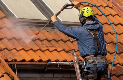 Démoussage et hydrofuge de toiture à Saint-Savin